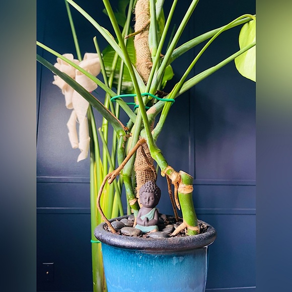 Little Buddha Meditating - Picture 2 of 5